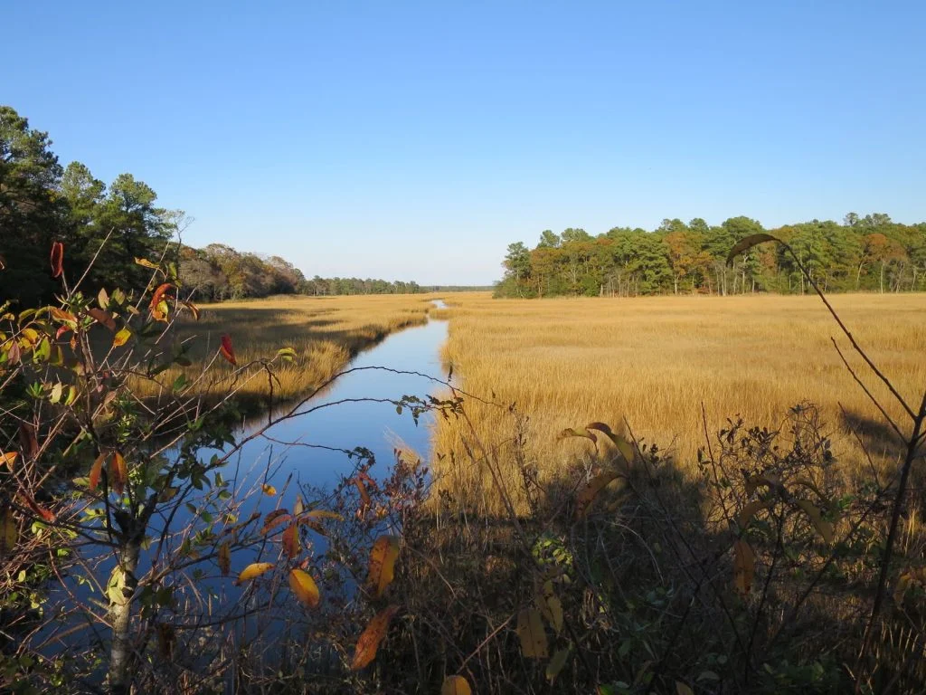 The Junction and Breakwater Trail